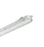 Philips Stagna LED CoreLine WT120C G2 49W 6000lm - 840 Bianco Freddo | 150cm - Dali Dimmerabile - Emergenza 3H 